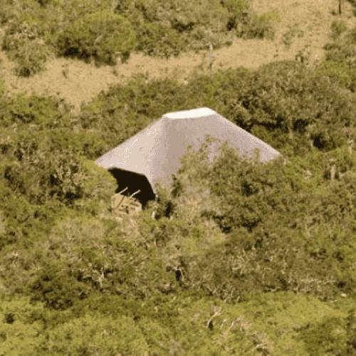 1 NIGHT BUSH LODGE (SLEEPOVER + GAME DRIVES)